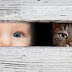 “Bagai Sosok Manusia Kelinci Bermatakan Kucing”