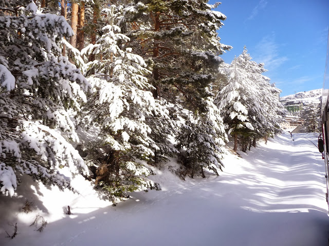 Tren de la Naturaleza. Excursiones Sierra de Madrid