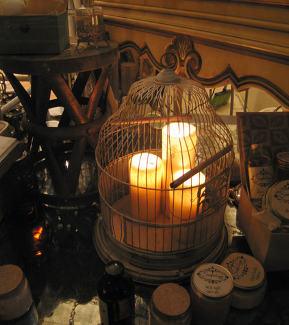 A Little Bird Told Me Birdcage Centerpieces 