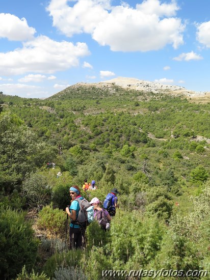 Area recreativa los Sauces - Peñón de Ronda