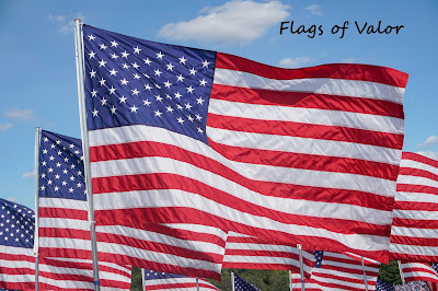 Flags of Valor in St. Louis, MO photo by mbgphoto