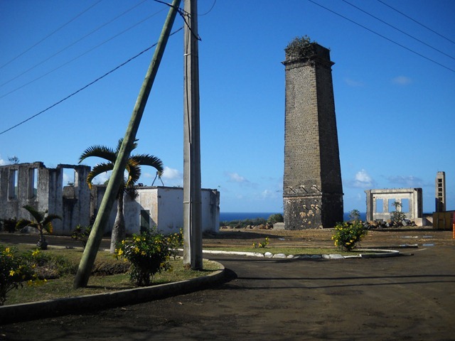 DSCN6607