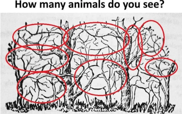 Optical Illusion: How Many Animals Can You Spot?