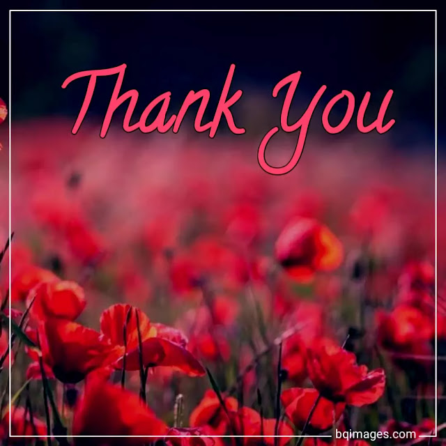 thank you all images with flowers