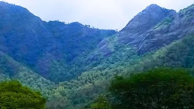 nilgiri-mountains-facts-in-hindi