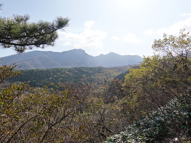 大山の香取の山道からの眺望