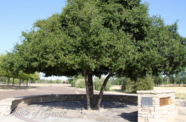 2011 05 21_4664