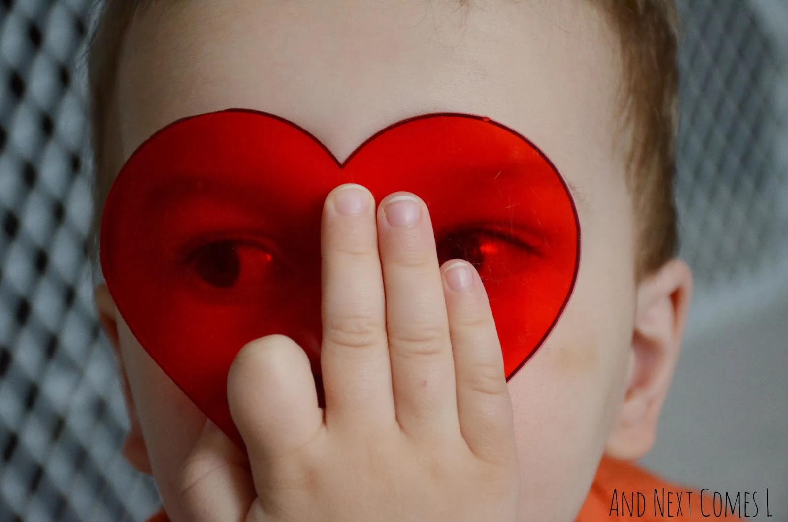 Toddler exploring transparent hearts