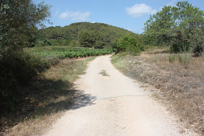 SANT JAUME DELS DOMENYS-PUIG DE LA TIULA, camí de la Plana a les terres planes del Gatell