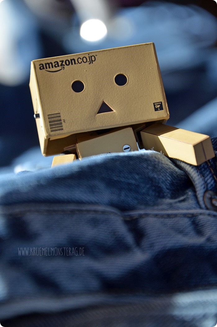 #danbo 6v7sachen Wäsche gebügelt