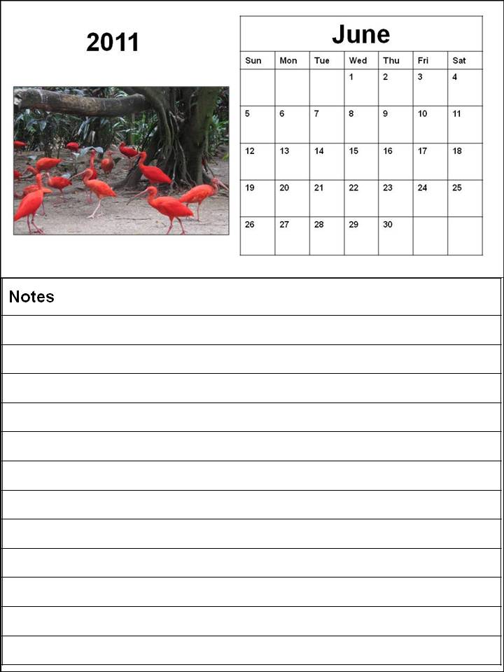 blank calendar 2011 june. Blank Calendar 2011 June or