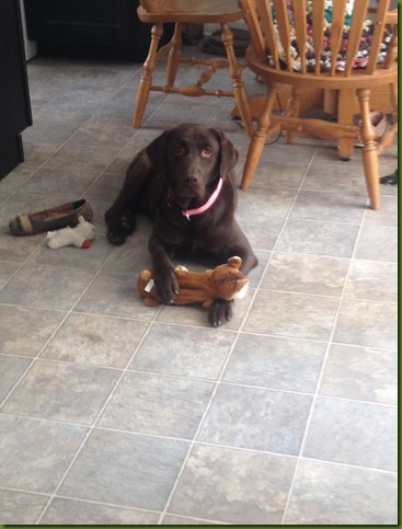 Zoe with toy