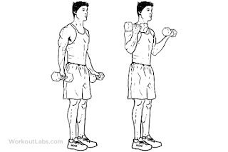 4. Dumbbell Bicep Curl