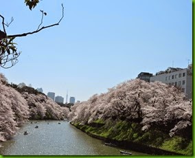 DSCN4549