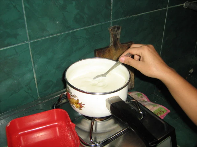 Cara Buat Yoghurt Susu Sapi