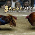 Situs Untuk Nonton Video Sabung Ayam Online 