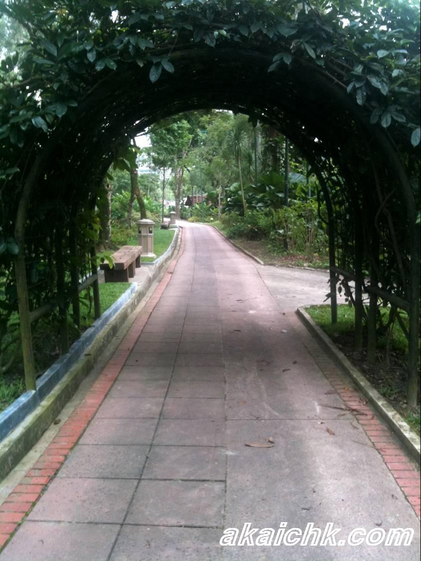 akai chk: Taman Tasik Perdana / KL Lake Gardens