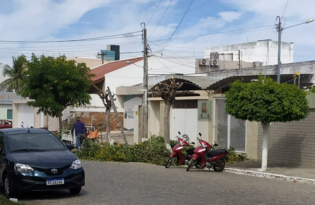 Moradora envia resposta a matéria sobre podas de árvores em Santa Cruz do Capibaribe