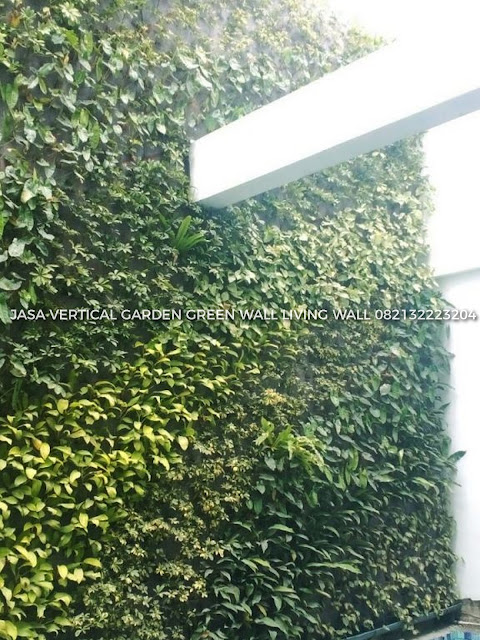 JASA PEMBUATAN VERTICAL GARDEN BEKASI, JASA VERTICAL GARDEN BEKASI, JASA TUKANG TAMAN VERTICAL BEKASI, JASA PEMBUATAN DINDING HIDUP BEKASI, JASA PEMBUATAN DINDING HIJAU BEKASI, roof garden murah, roof garden design, roof garden minimalis, roof garden sederhana, roof garden detail, roof garden medan, roof garden BEKASI, drainasecell roof garden, versicel roof garden, roof garden indonesia, roof garden BEKASI, roof garden system, roof garden, roof garden adalah, drainasecell, versicell, alat roof garden, cara membuat roof garden, peralatan roof garden, roof top, top roof garden, taman dak atas, cara membuat taman dak, taman atap roof garden, taman roof garden, roof garden apartment, tukang taman vertikal, vertikal garden murah, vertikal garden sederhana, taman vertikal dari botol bekas, taman vertikal murah, taman vertikal rumah minimalis, taman vertikal adalah, taman vertikal dalam rumah, taman vertikal, taman vertikal minimalis, taman vertikal anggrek, taman vertikal botol, taman vertikal di bandung, taman vertikal menggunakan botol bekas, taman vertikal dari batu bata, biaya taman vertikal, buat taman vertikal, contoh taman vertikal, cara taman vertikal, contoh taman vertikal garden, taman vertikal di rumah, taman vertikal di lahan sempit, taman vertikal di dinding, taman vertikal dinding, taman vertikal dengan paralon, taman vertikal depok, fungsi taman vertikal, foto taman vertikal, taman vertikal garden, taman gantung vertikal, gambar taman vertikal minimalis, cara membuat taman vertikal garden, gambar taman vertikal, griya taman vertikal, desain taman vertikal garden, taman vertikal hidroponik, taman vertikal harga, harga taman vertikal murah, taman vertikal indonesia, taman vertikal indoor taman vertikal italia, ide taman vertikal, vertical gardens, vertical gardening, wall garden, green wall, vertical gardening systems, wall planter, indoor vertical planter, planter, wall planters, green walls, greenwall, garden walls, plant wall, wall planters indoor, wall planters for outdoors, vertical blinds, vertical line, vertical farming, vertical integration, vertical angles, vertical radiators, vertical meaning, define vertical,