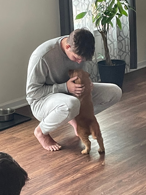 Miles standing on his hind legs trying to lick Josh's face as he crouches down to pet Miles in the kitchen.