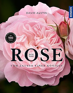 Die Rose: Vom Zauber einer Königin