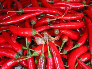 Treating rheumatic with red chili