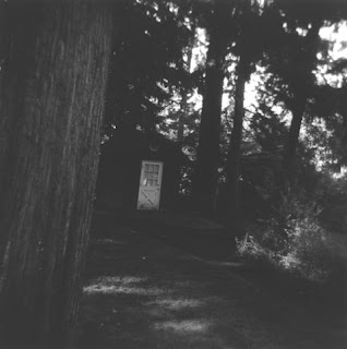 Hint of a cabin in the forest with shafts of sunlight touching the ground