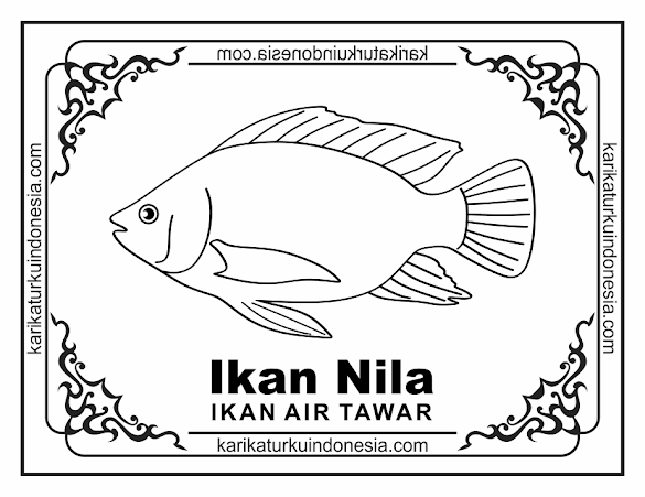 Mewarnai Ikan : Cara Menggambar Ikan Darat Maupun Laut Paling Mudah ... - Bagus untuk latihan mewarnai anak paud dan tk.