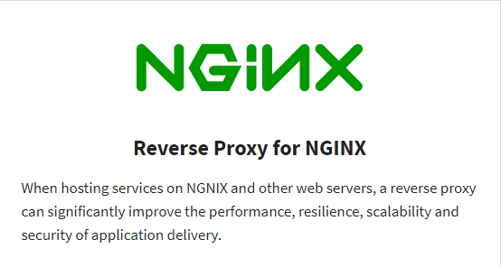 Read More Reverse Proxy for NGINX