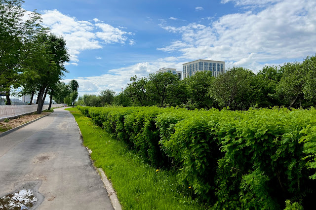 Кутузовский проспект, яблоневый сад, жилой комплекс Match Point