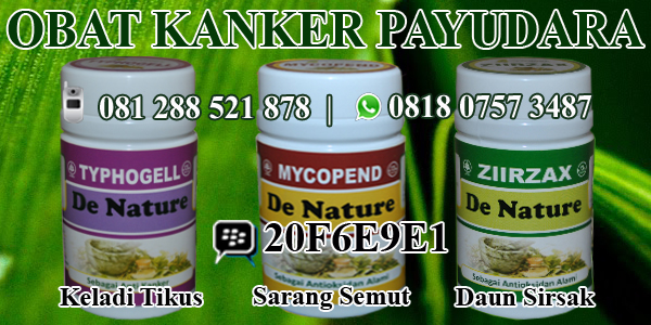 Tanaman Obat Tumor Payudara