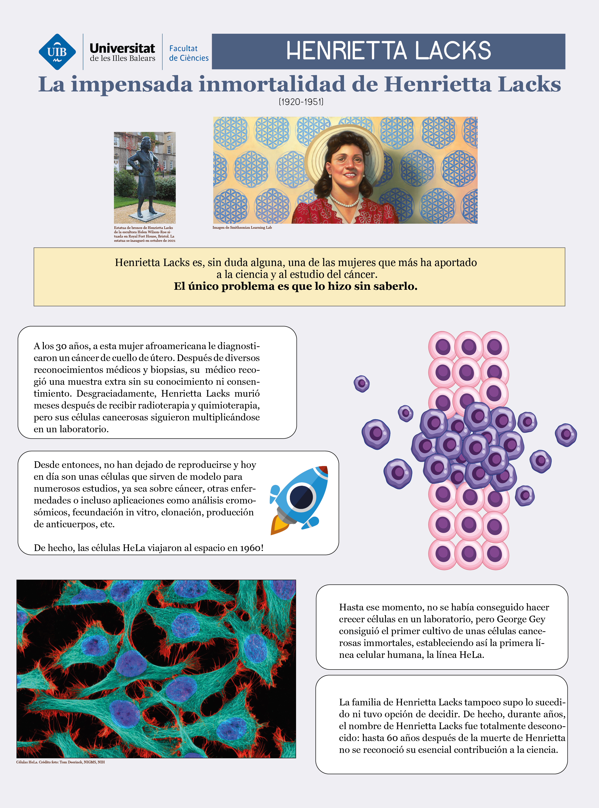 Henrietta Lacks es sin duda una de las mujeres que más ha aportado a la ciencia y al estudio del cáncer. El único problema es que lo hizo sin saberlo. A los 30 años le diagnosticaron un cáncer de cuello de útero, y sin su consentimiento, extrajeron una muestra adicional durante la biopsia. De esta manera, lograron cultivar las células cancerosas de Henrietta Lacks, estableciendo así la primera línea celular inmortal derivada de un cáncer humano, las células HeLa. Desde entonces han servido para numerosas aplicaciones, desde estudios de enfermedades como el cáncer, análisis cromosómicos, clonación, fecundación in vitro, ¡e incluso han viajado al espacio para analizar cómo les afecta la gravedad!