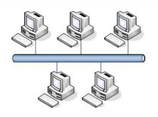 topologi bus