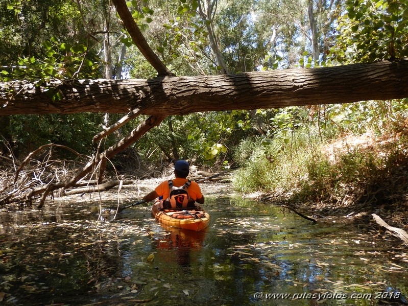 Kayak río Palmones