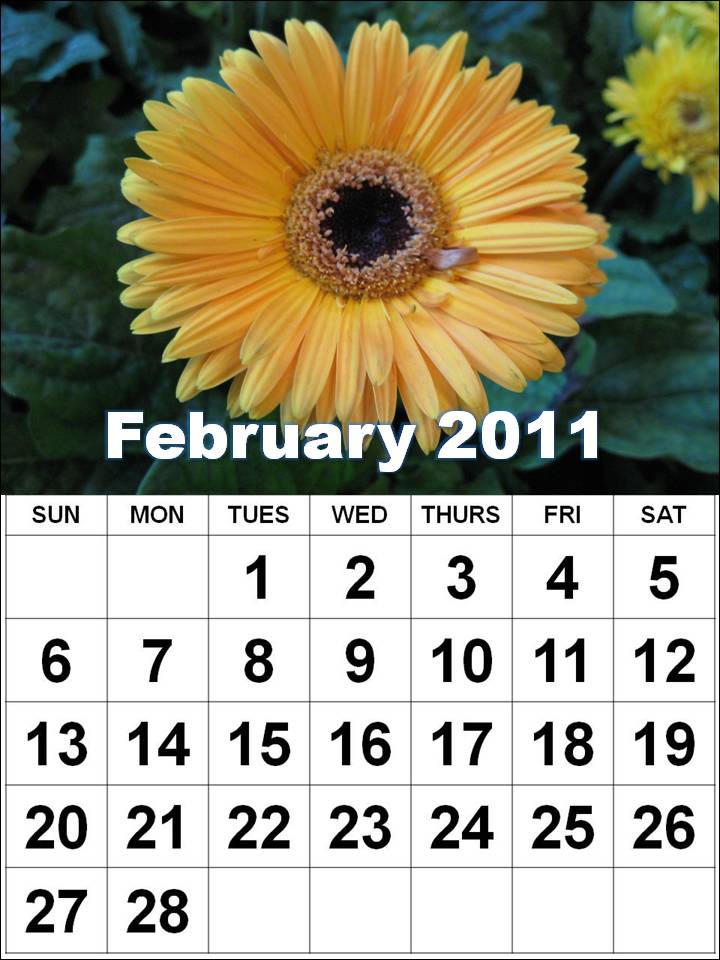 perpetual calendar 2011. Perpetual+calendar+2011