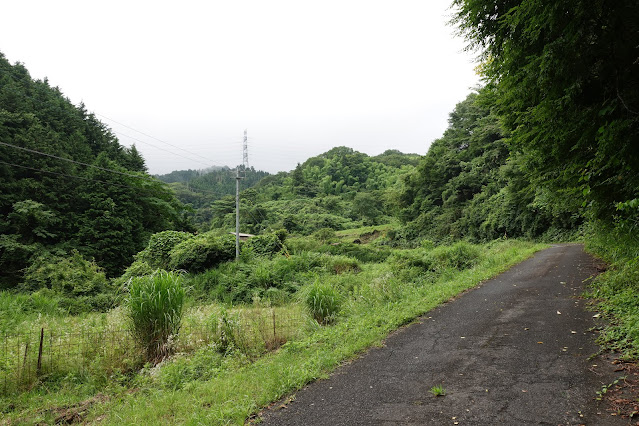 こもれび広場に向かいます