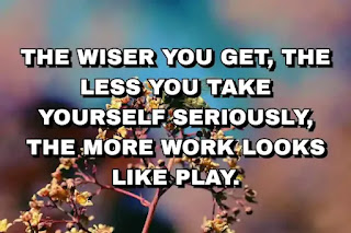 The wiser you get, the less you take yourself seriously, the more work looks like play.