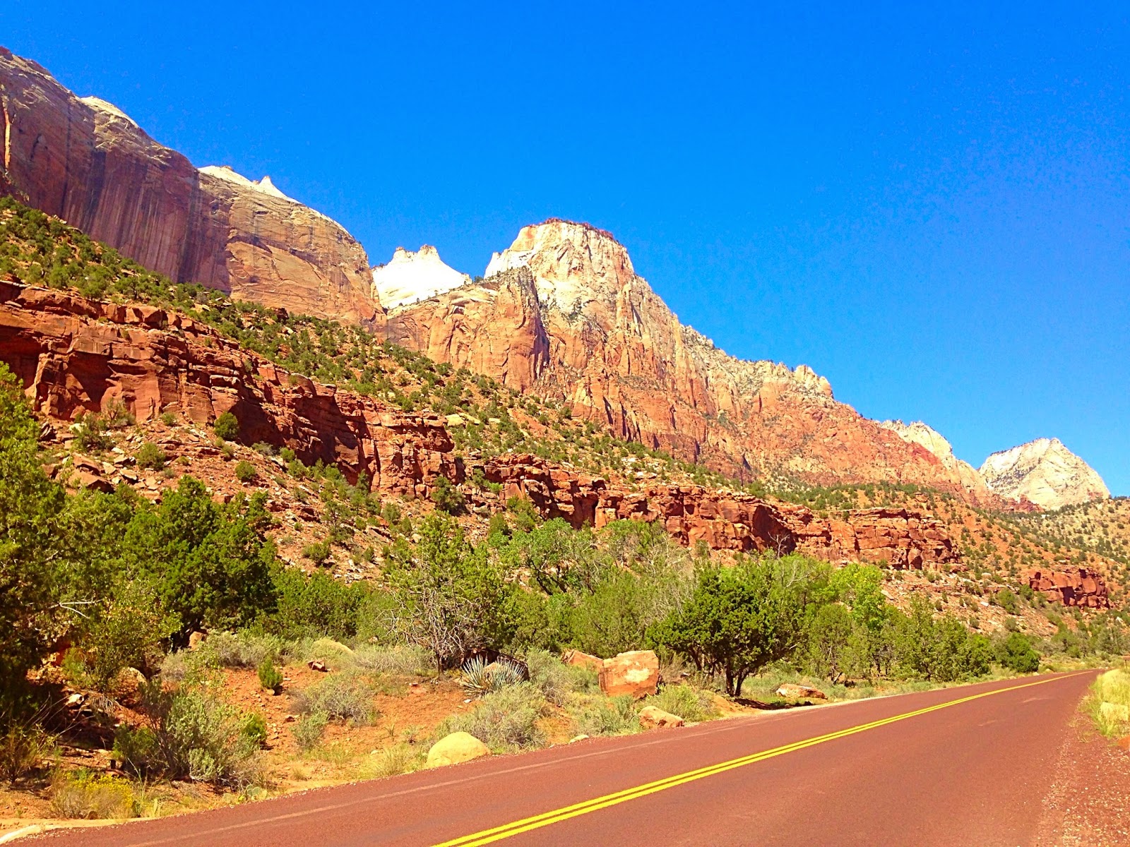 Zions National Park