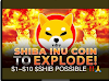 Shiba Inu Price Prediction 2024-2025 | SHIB NEWS