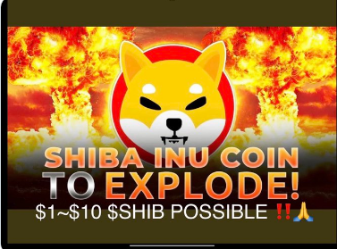 Shiba Inu Price Prediction 2024-2025 | SHIB NEWS