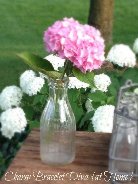 hydrangea vintage flower vase milk bottle