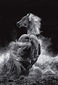 02-Stallion-running-in-the-water-Black-and-White-Drawings-Vitaly-Medved-www-designstack-co