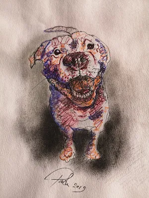 biro squiggle art portrait pet dog fine art paper