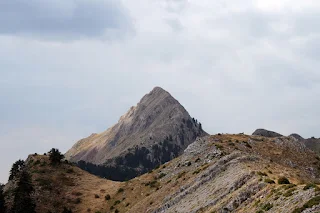 Κούτουπας