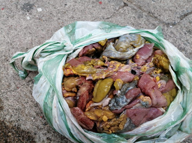 Decomisados 40 kilos de carne de tortuga en Riohacha