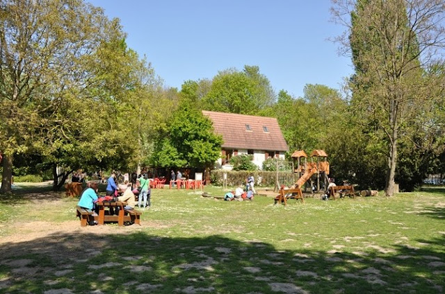 L'île Nancy à Andrésy, un oasis de nature et d'art contemporain