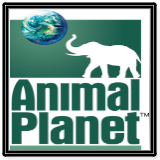 Animal Planet Online Live TV Channel