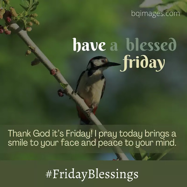 friday blessings and prayers