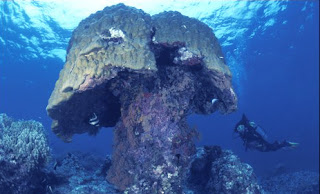 The great Barrier Reef Australia