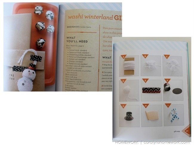 Washi Wonderful Book Review via homework | carolynshomework.com